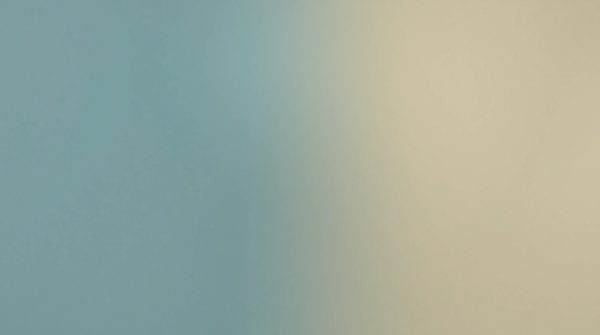 Comparer deux approches d'évaluation : test de personnalité professionnelle versus scan des soft skills